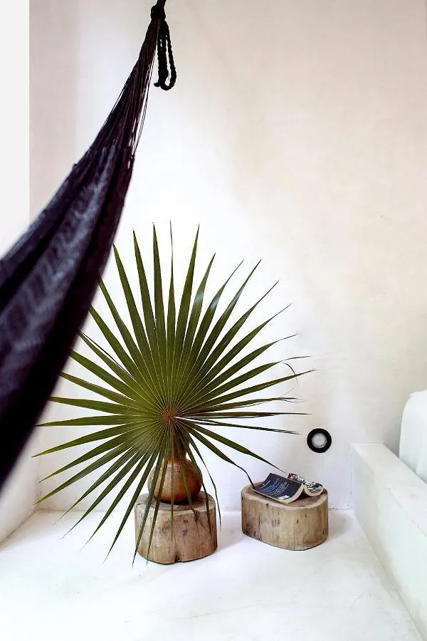 Villa In La Veleta For 16 Guests Tulum Mexiko