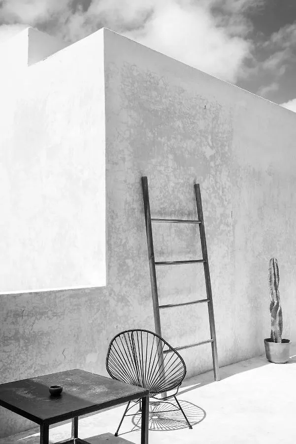 Villa In La Veleta For 16 Guests Tulum Ferienhaus