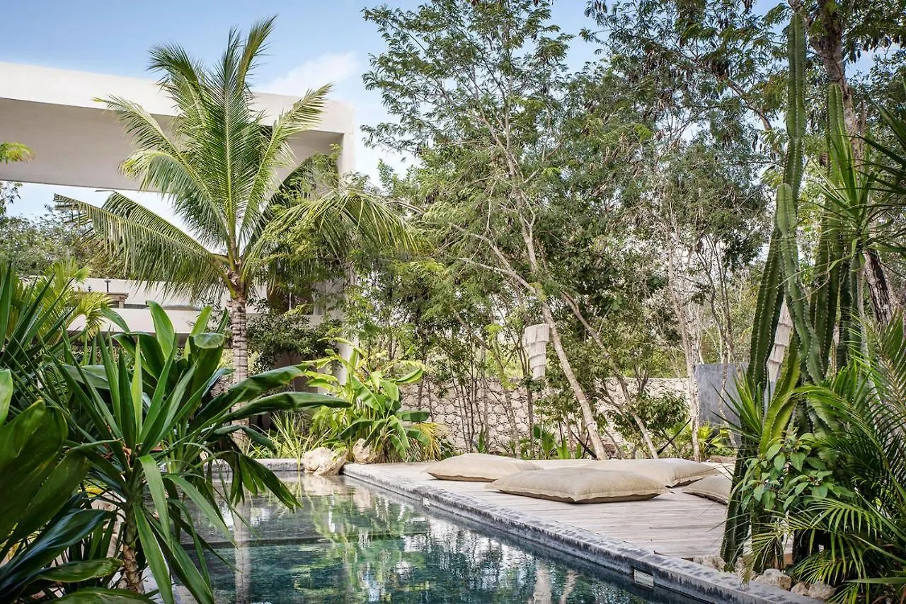 Ferienhaus Villa In La Veleta For 16 Guests Tulum