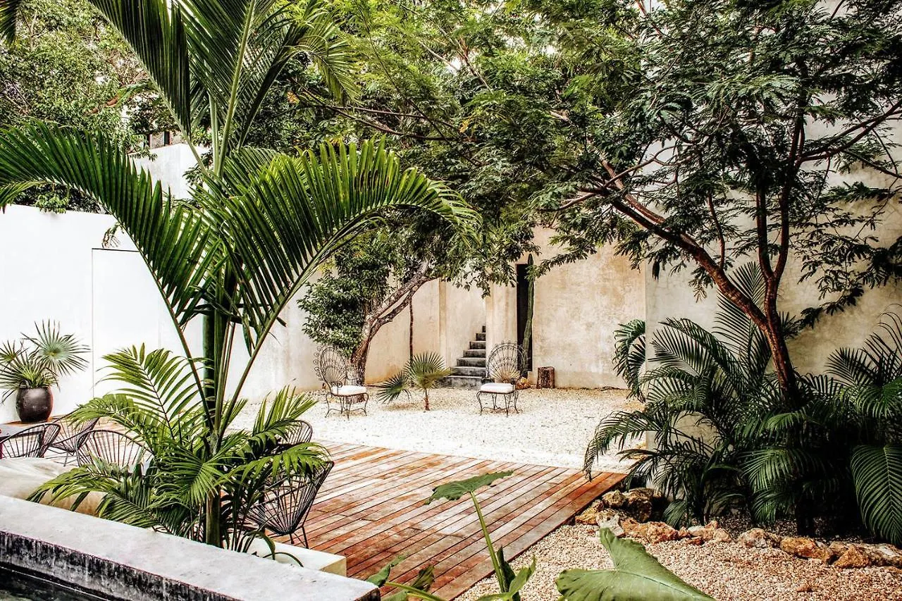 Villa In La Veleta For 16 Guests Tulum Ferienhaus