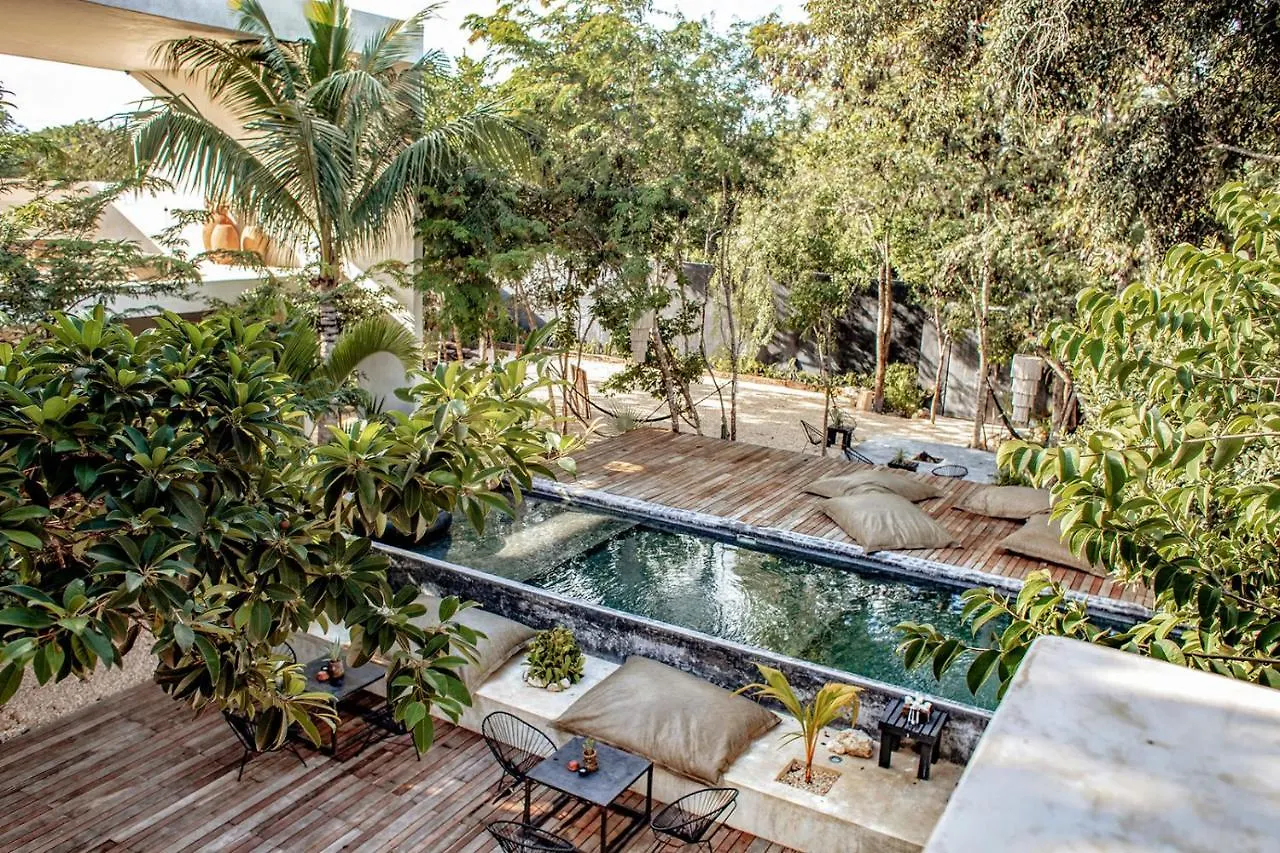 Villa In La Veleta For 16 Guests Тулум