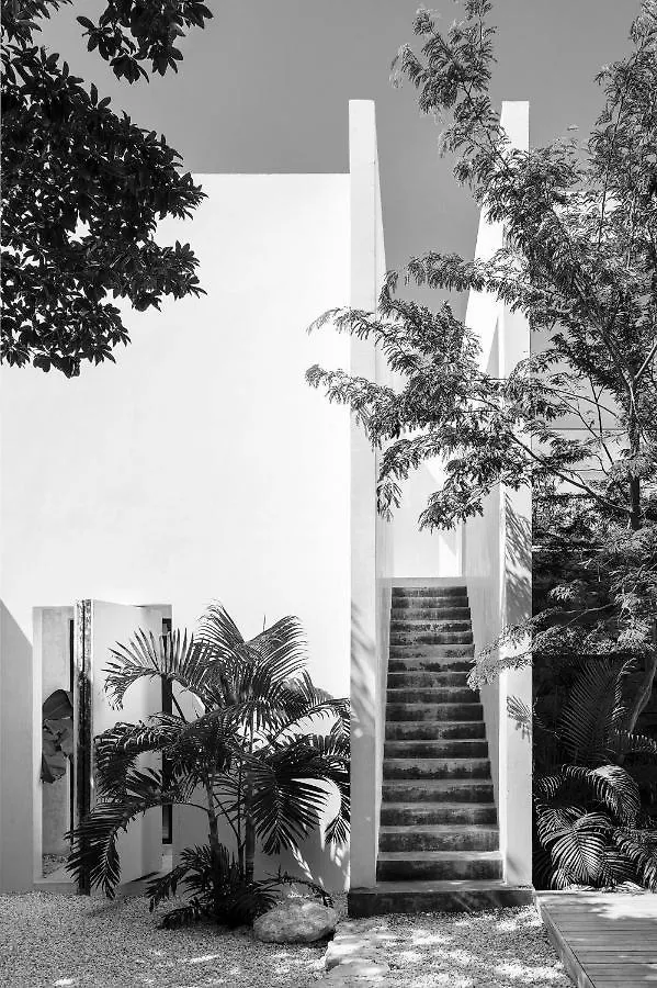 Villa In La Veleta For 16 Guests Тулум