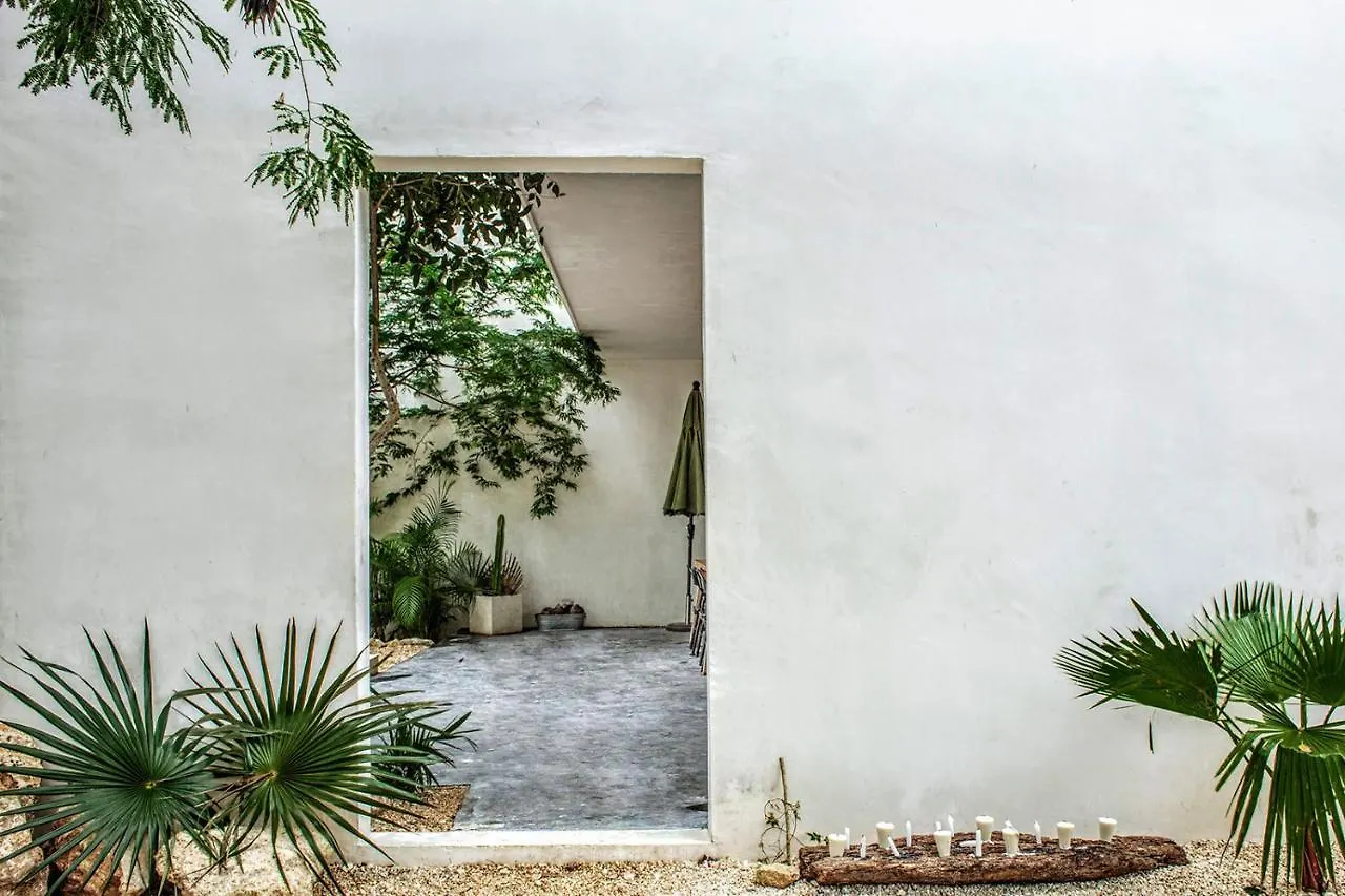 Villa In La Veleta For 16 Guests Тулум Дом отдыха