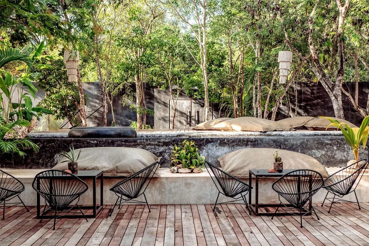 Villa In La Veleta For 16 Guests Тулум Мексика