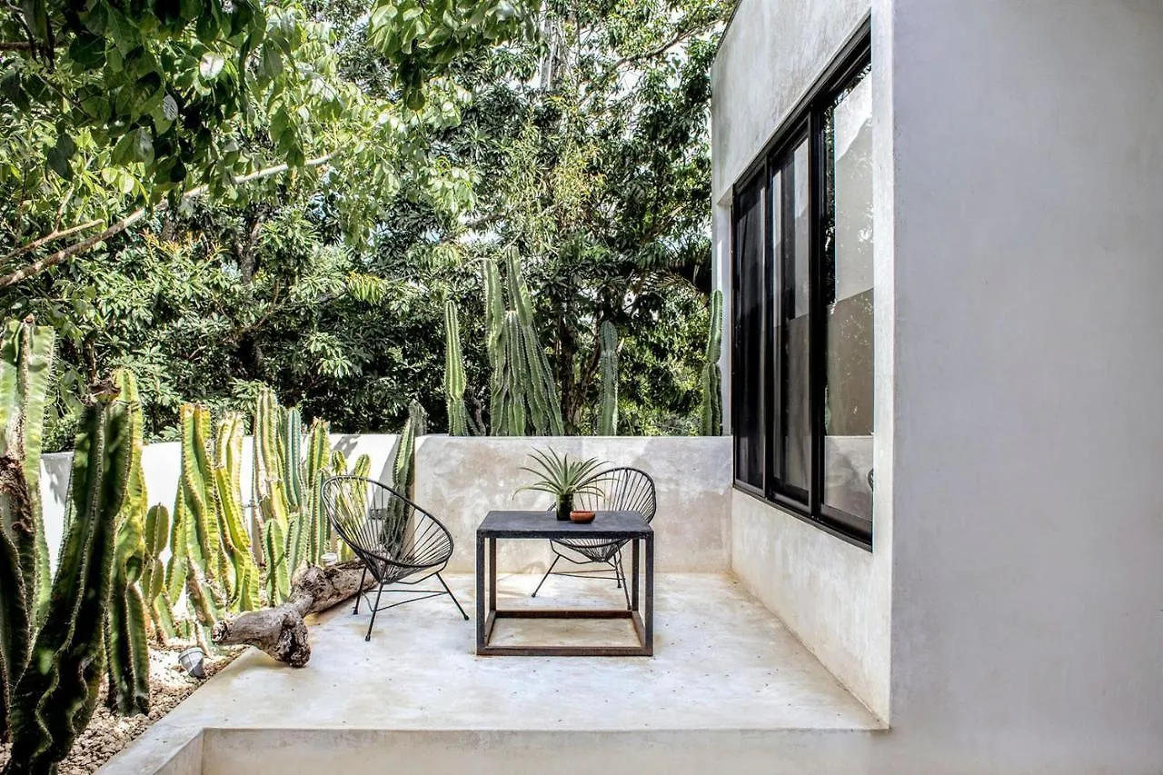 Villa In La Veleta For 16 Guests Тулум