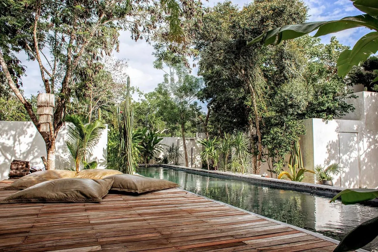 Villa In La Veleta For 16 Guests Тулум Дом отдыха